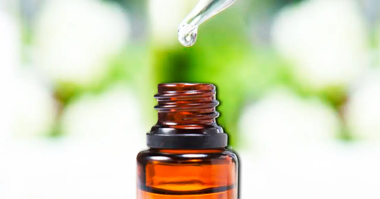 Hai sempre sbagliato a mescolare olio di Neem e sapone: ecco le dosi esatte per un insetticida potentissimo