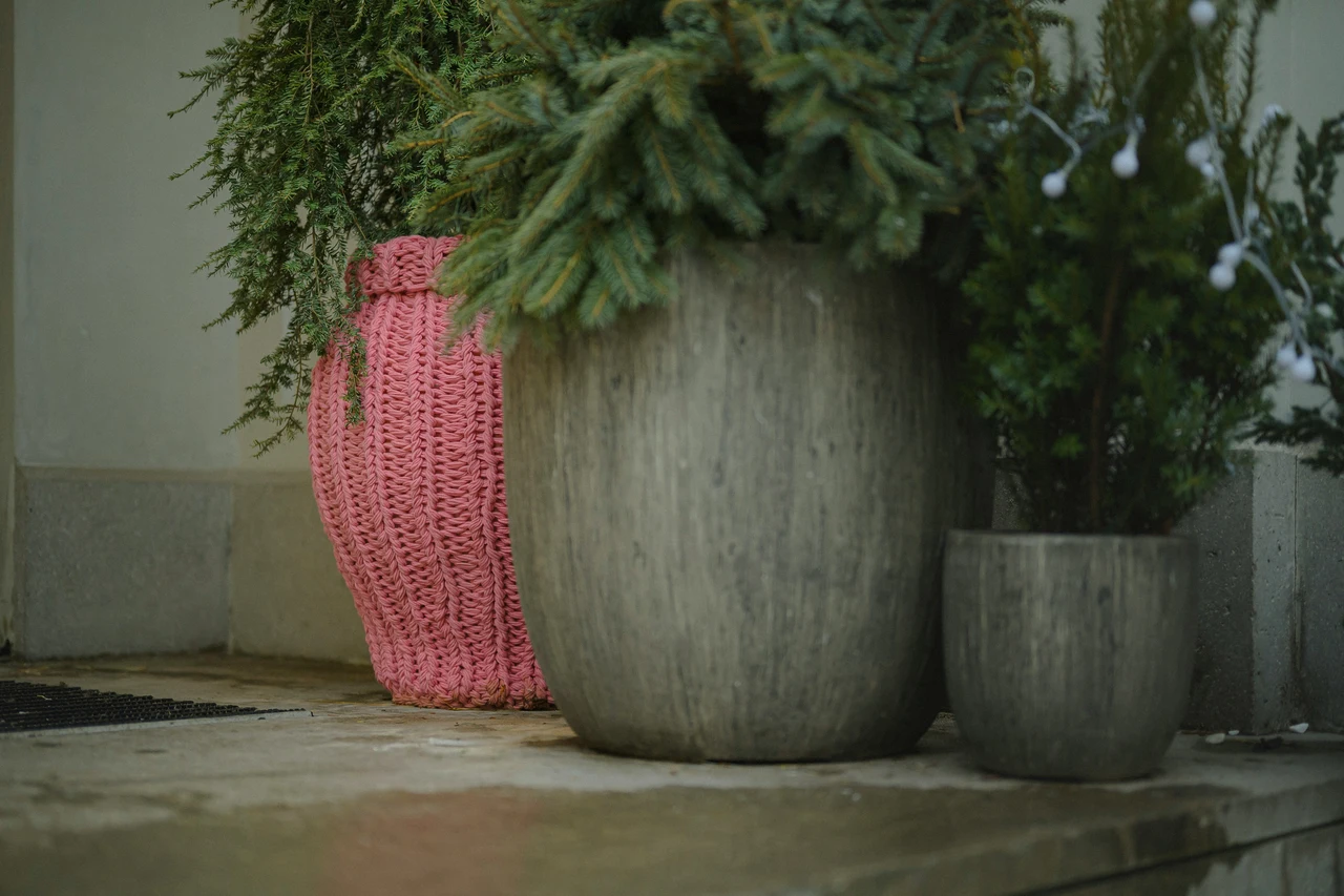 Non riempire i vasi alti con i soliti fiori: ecco le idee di design per valorizzare subito casa